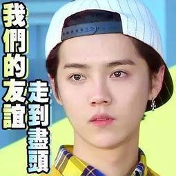 娱乐圈吃瓜手册真的假的